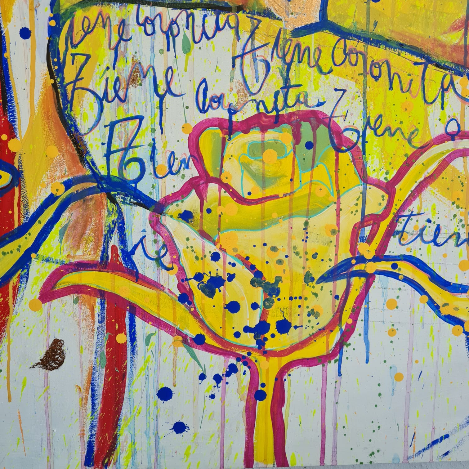 Gemma - Tienen Coronita 7