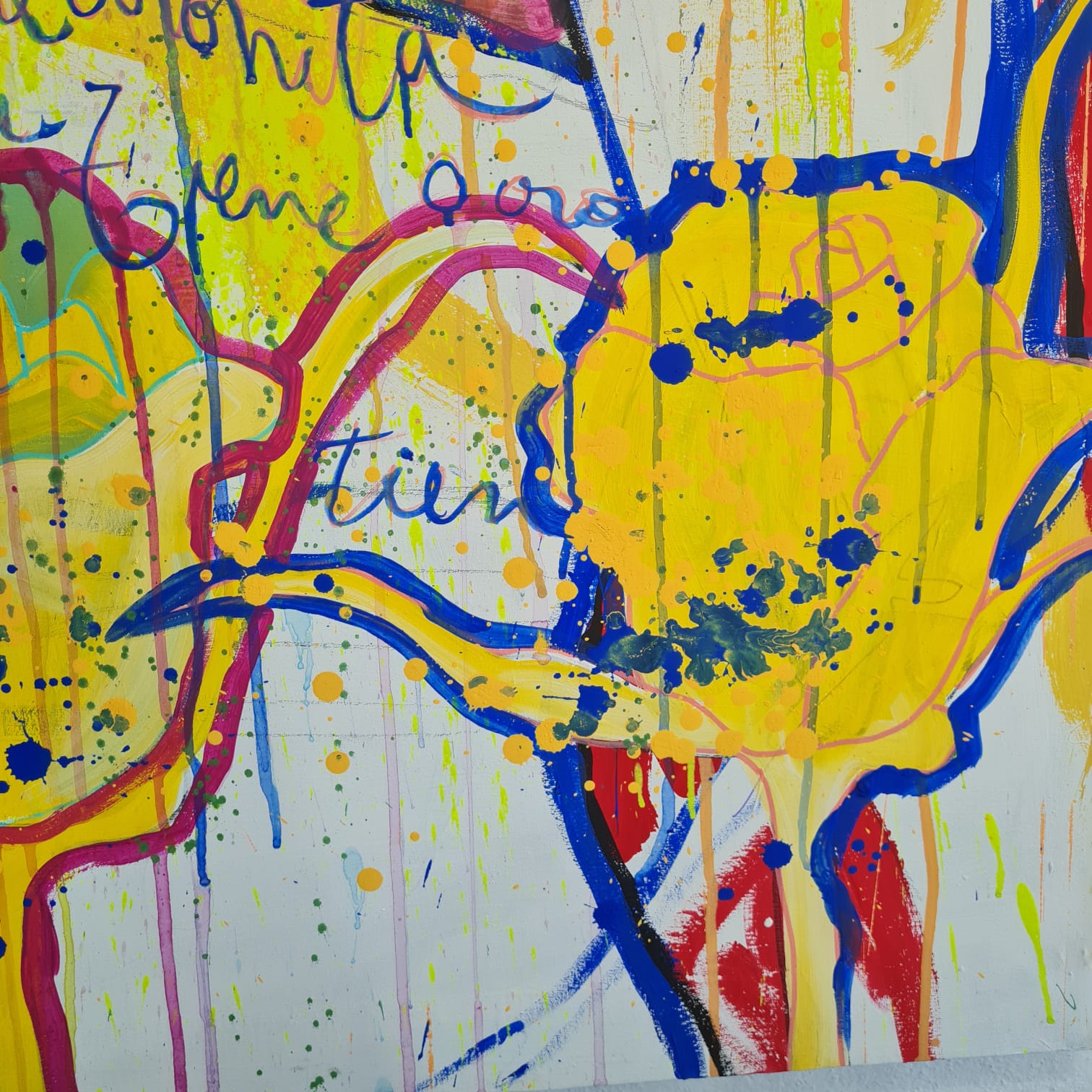 Gemma - Tienen Coronita 8